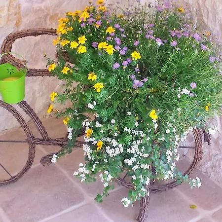 Arenaria Leucadia Villa